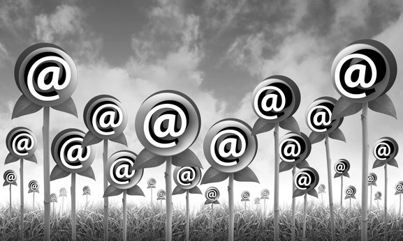 How email trumps social marketing